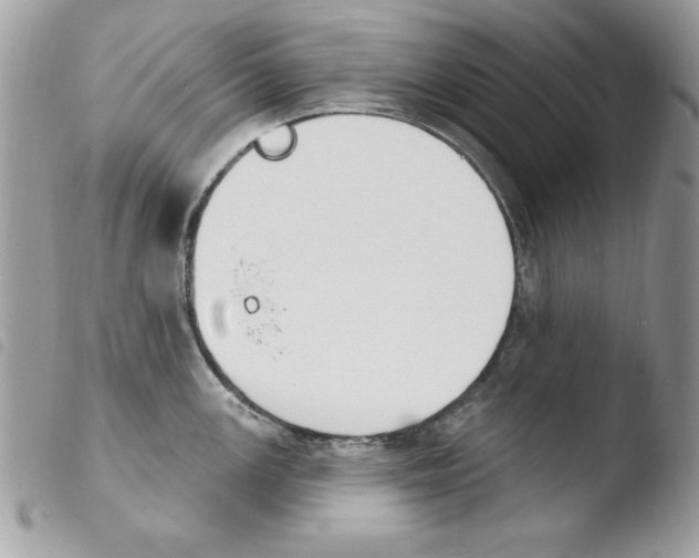 X0000103951147200810171832