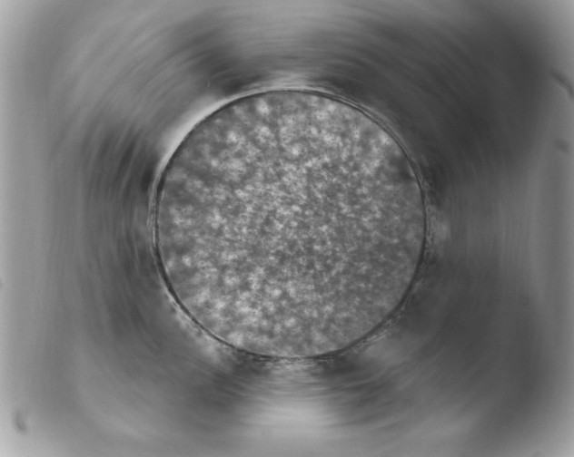 X0000103951148200810171832