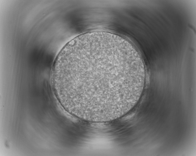 X0000103951149200810171832