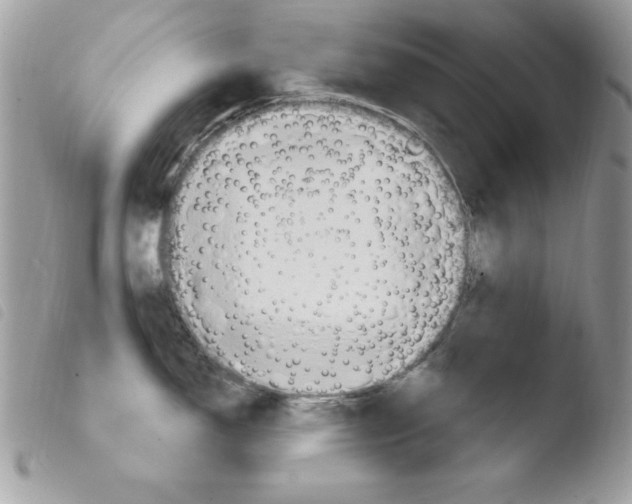 X0000103951150200810171832