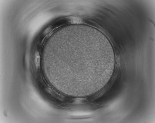 X0000103951151200810171832