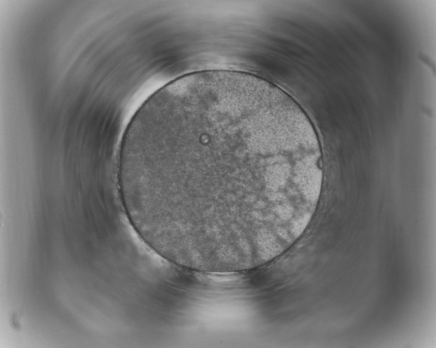 X0000103951152200810171832