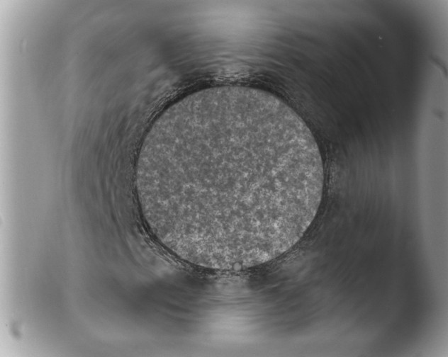 X0000103951153200810171831