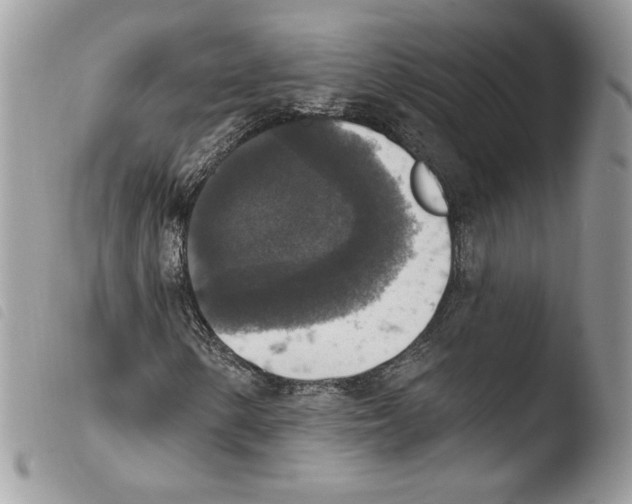 X0000103951154200810171831