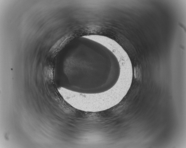 X0000103951155200810171831