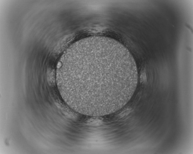 X0000103951156200810171831