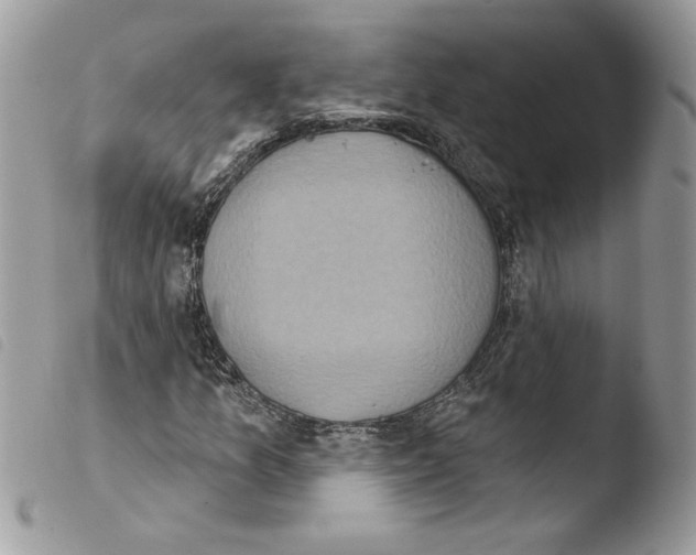 X0000103951157200810171831