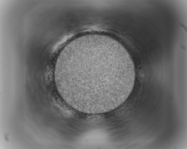 X0000103951159200810171831