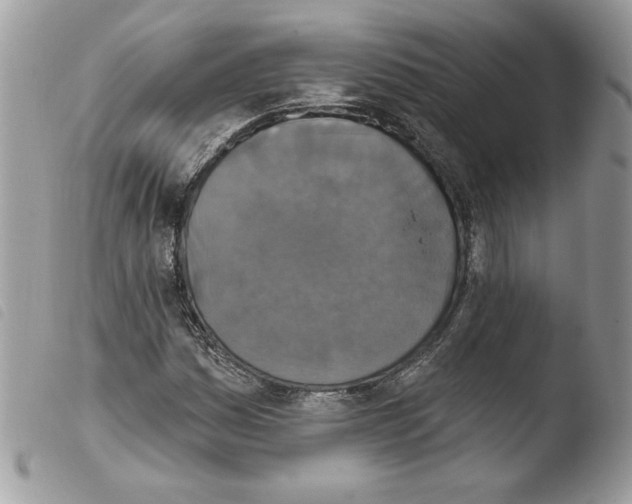 X0000103951161200810171831