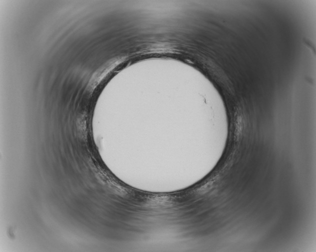 X0000103951162200810171831