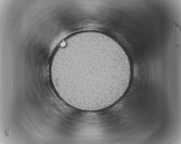 X0000103951164200810171831