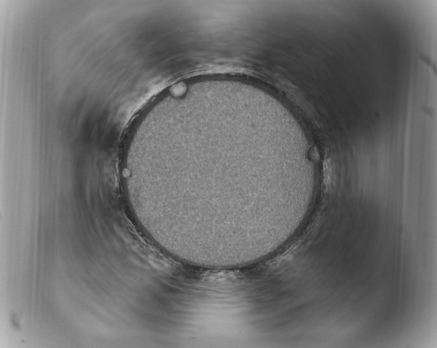 X0000103951165200810171831