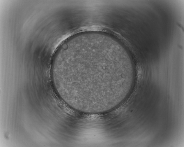 X0000103951166200810171831