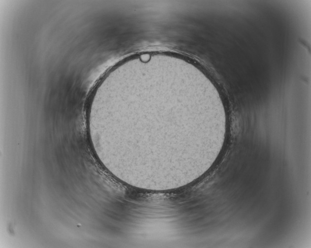 X0000103951167200810171831