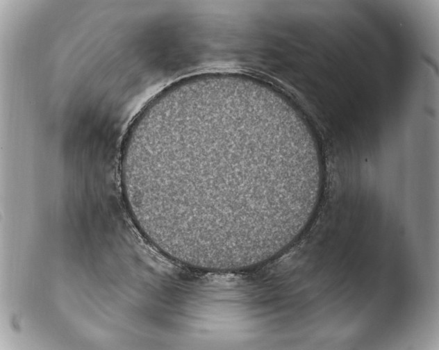 X0000103951168200810171831