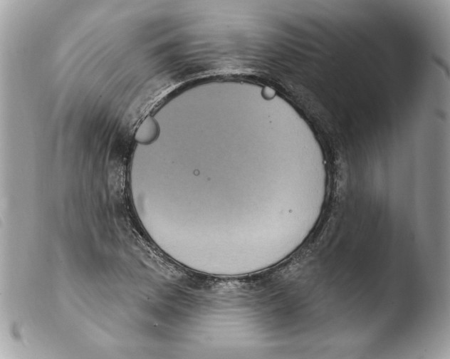 X0000103951169200810171831