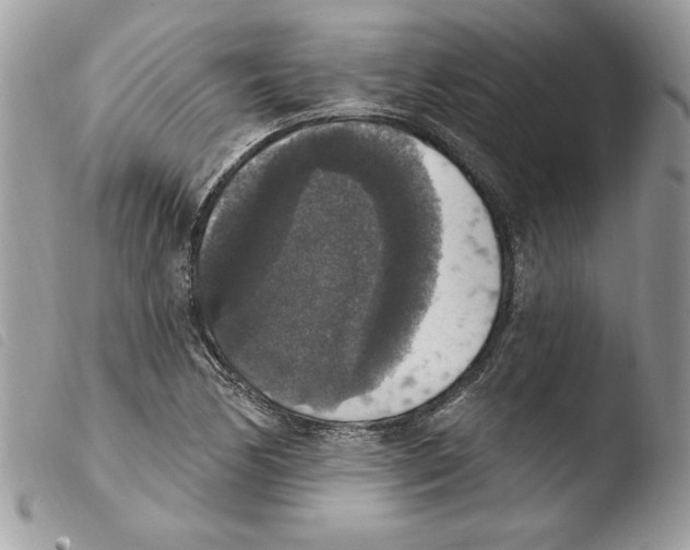 X0000103951170200810171831
