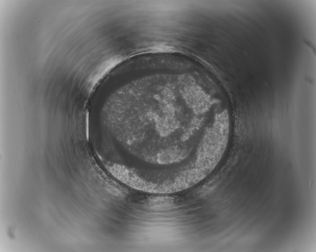 X0000103951171200810171831