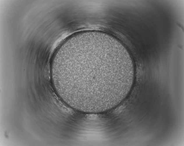 X0000103951172200810171831