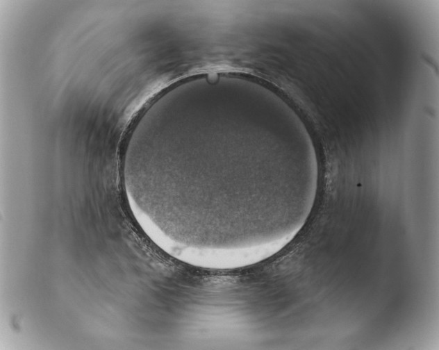 X0000103951173200810171831