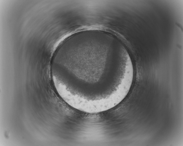X0000103951174200810171831
