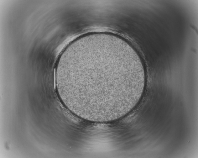 X0000103951175200810171831