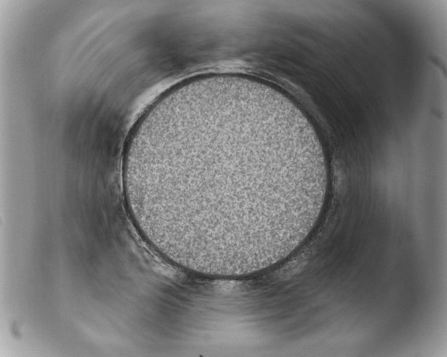 X0000103951176200810171831