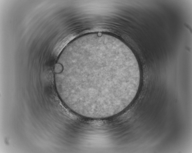 X0000103951177200810171831