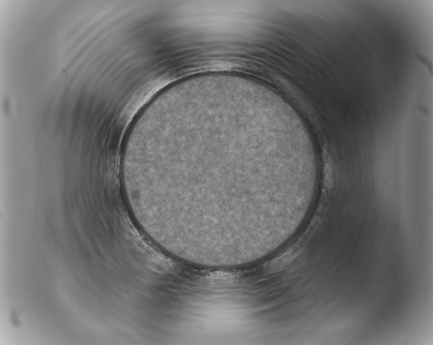 X0000103951178200810171831