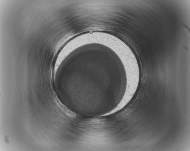 X0000103951179200810171831