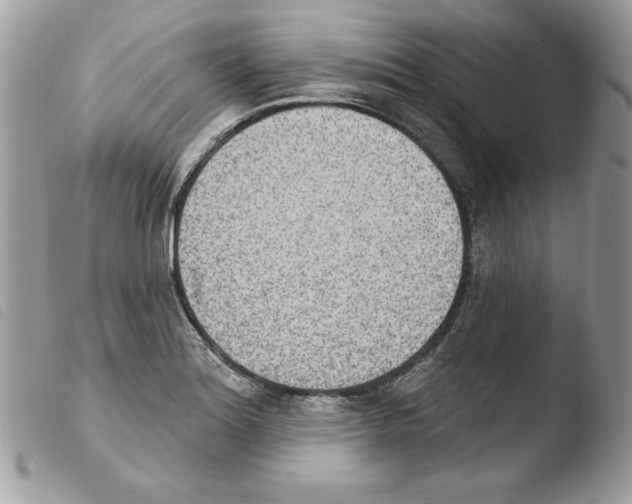 X0000103951180200810171831