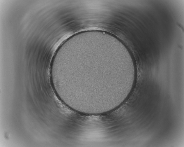 X0000103951181200810171831