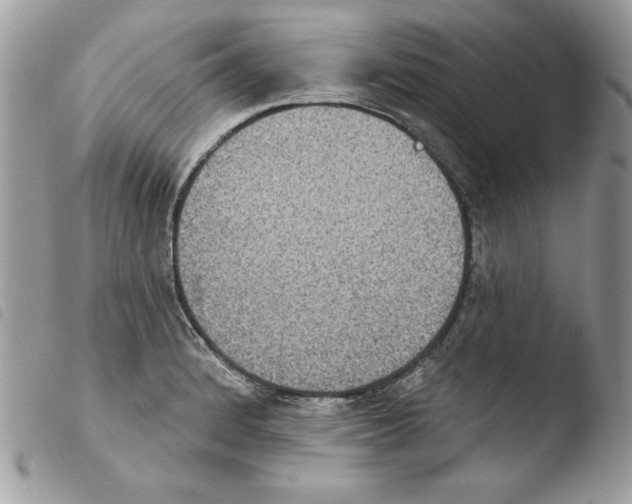 X0000103951184200810171831