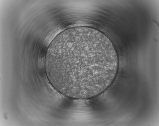 X0000103951185200810171831