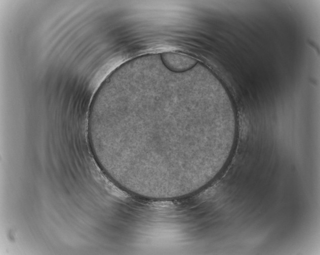 X0000103951186200810171831