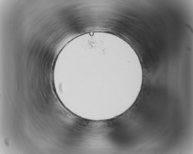 X0000103951187200810171831