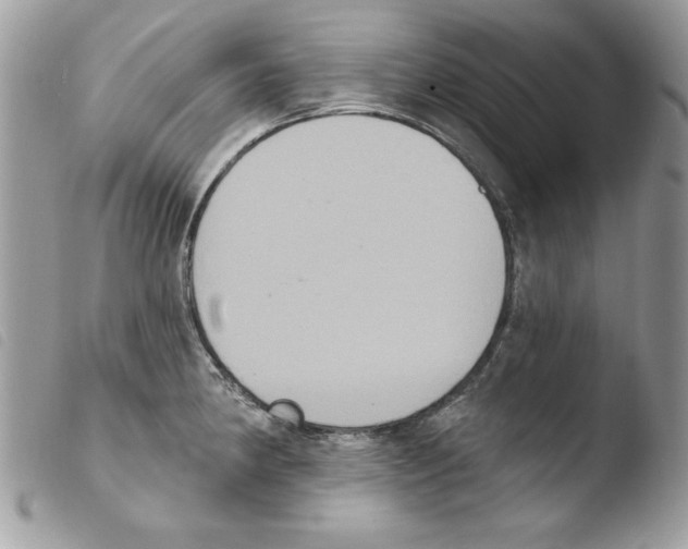 X0000103951190200810171831