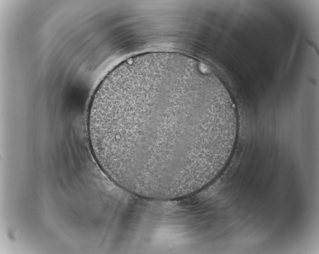 X0000103951192200810171831
