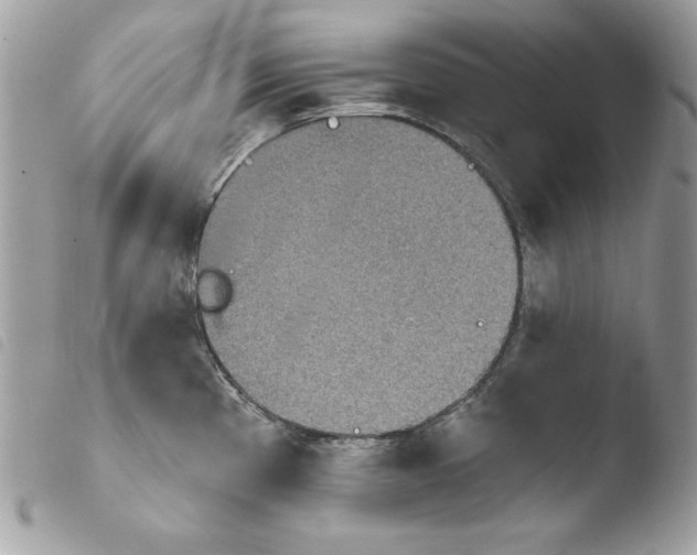X0000103951193200810171831