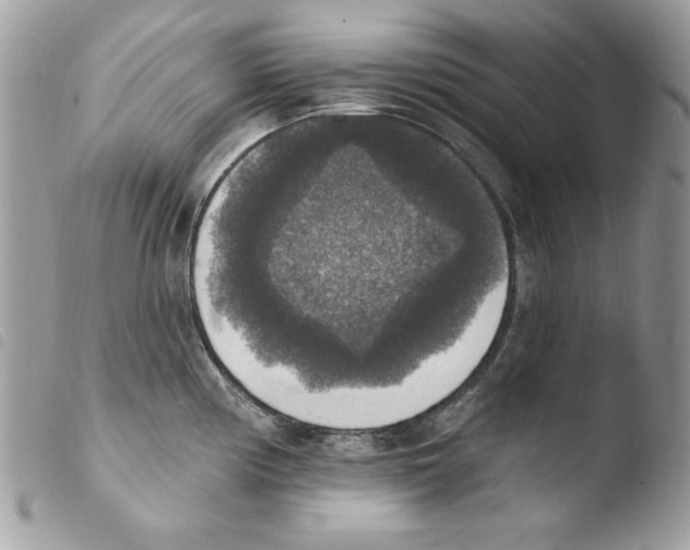 X0000103951194200810171831