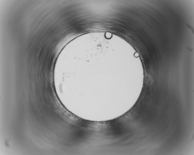 X0000103951195200810171831