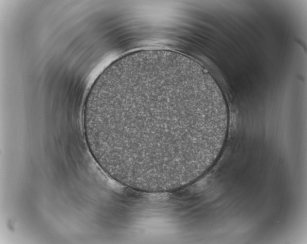 X0000103951196200810171831