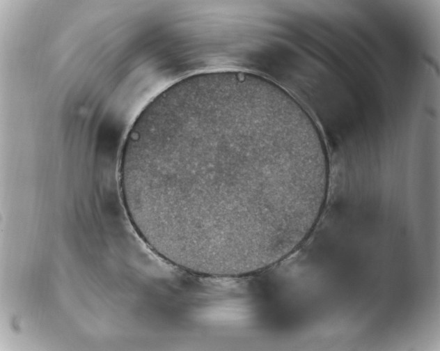 X0000103951197200810171831