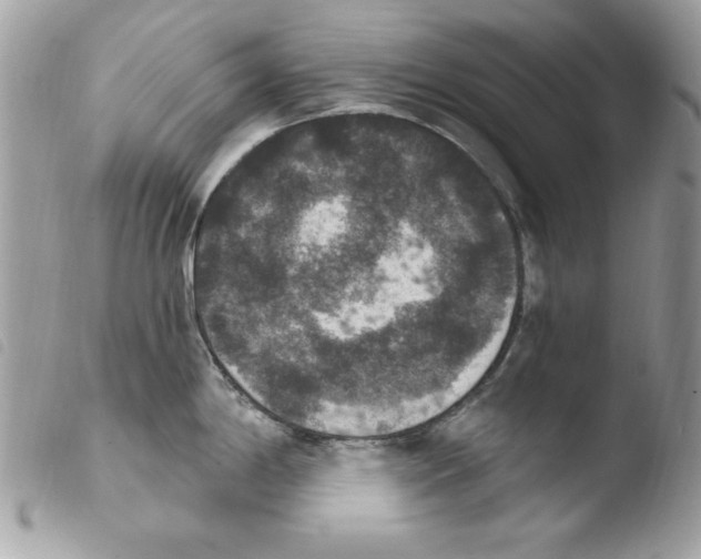 X0000103951198200810171831
