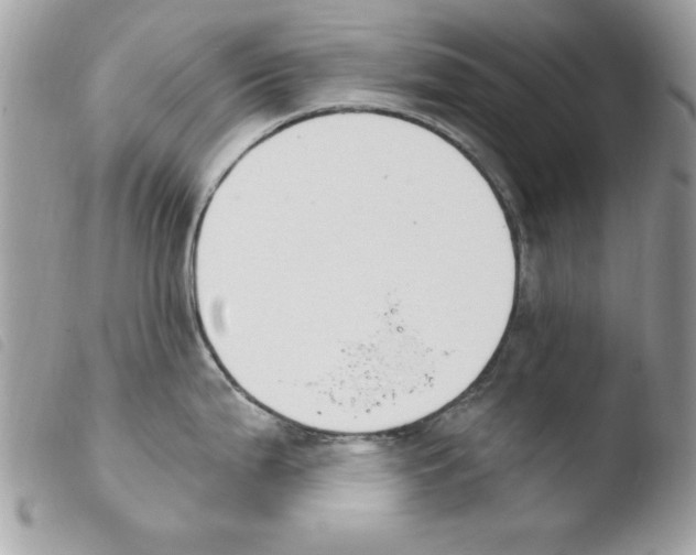 X0000103951199200810171831