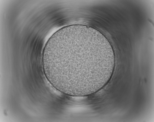 X0000103951200200810171831
