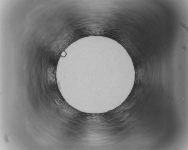 X0000103951202200810171830