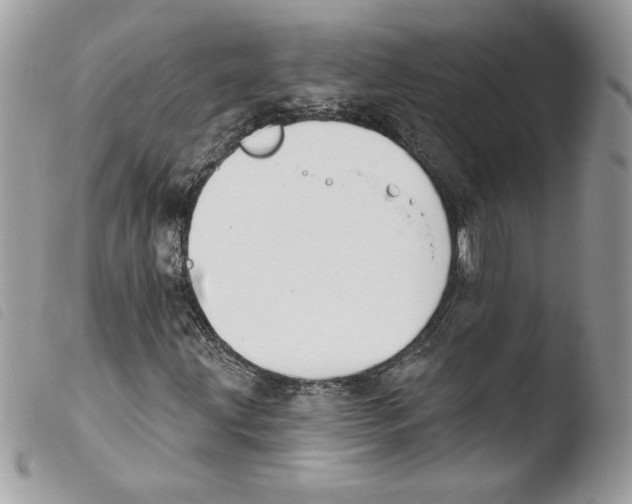 X0000103951203200810171830