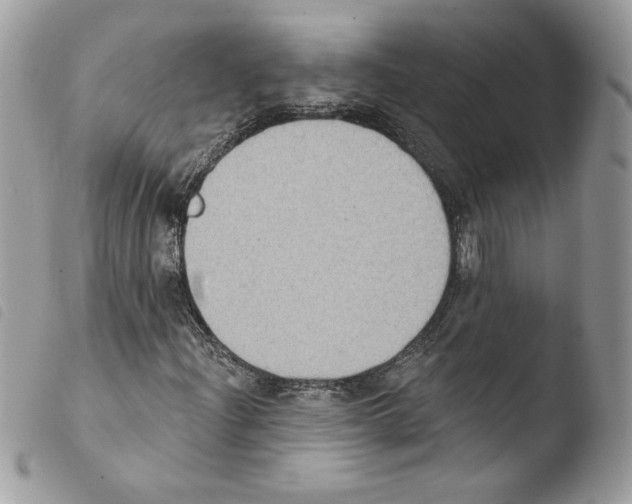 X0000103951204200810171830