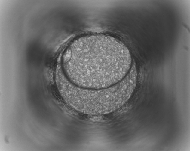X0000103951205200810171830